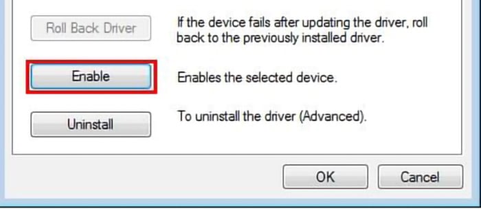 enable driver
