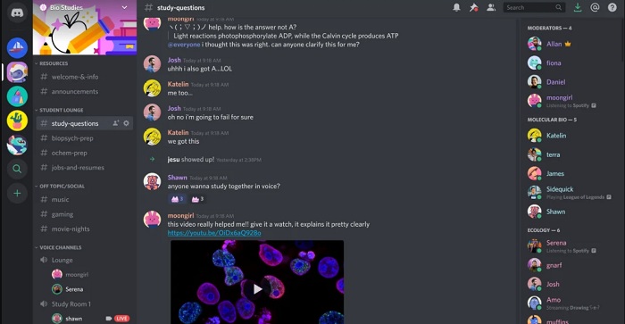 discord recieves freezing issues
