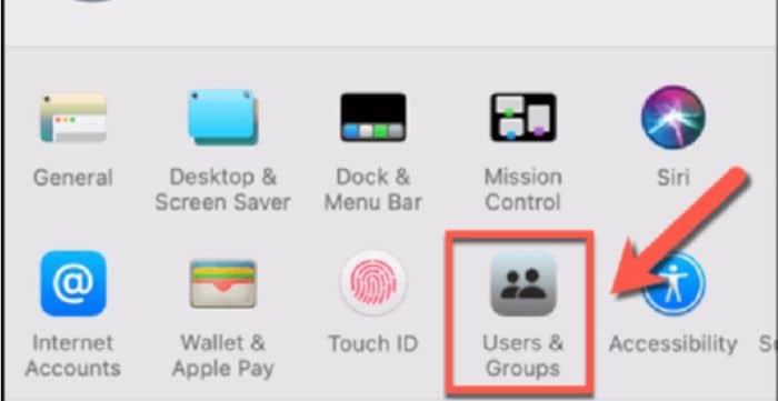 users and group