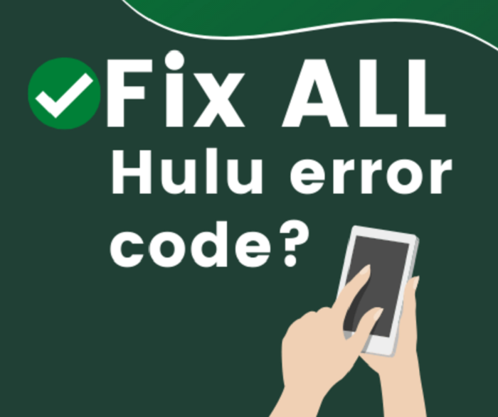 hulu error code 2(998)