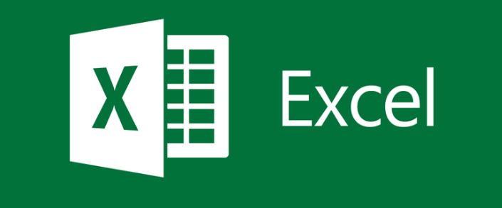 excel file opens but does not display